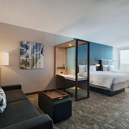 Springhill Suites By Marriott Dallas Richardson/University Area